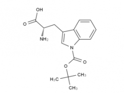 H-Trp(Boc)-OH  CAS號(hào)：146645-6