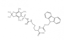 Fmoc-HomoArg(Pbf)-OH  CAS號：4