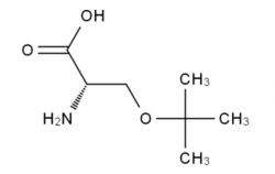 H-Ser(tBu)-OH  CAS號(hào)：18822-58