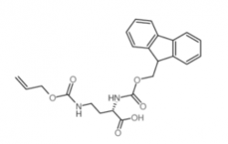 Fmoc-Dab(Alloc)-OH CAS No.: 20