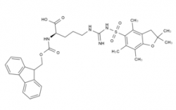 Fmoc-Arg(Pbf)-OH CAS No.: 1544