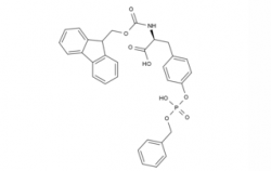 Fmoc-Tyr(HPO3Bzl)-OH CAS No.: 191348-16-0