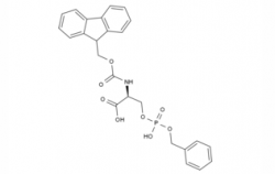 Fmoc-Ser(HPO3Bzl)-OH CAS No.: 158171-14-3