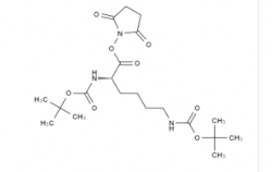 Boc-Lys(Boc)-OSu