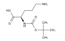 Boc-Orn-OH