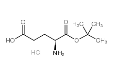 H-Glu-OtBu