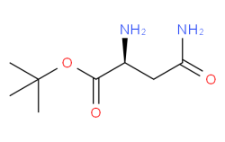 H-Asn-OtBu