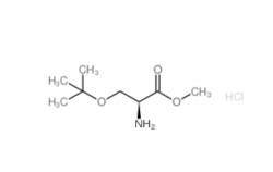 H-Ser(tBu)-OMe·HCl  CAS No.: 