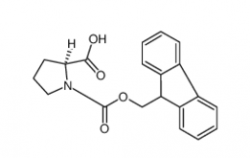 Fmoc-Pro-OH CAS號：71989-31-6