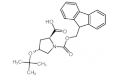 Fmoc-Hyp(tBu)-OH CAS號：122996-47-8