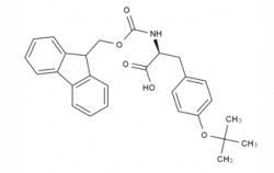 Fmoc-Tyr(tBu)-OH