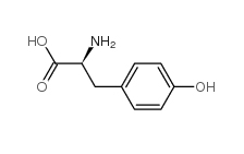 H-Tyr-OH CAS號  60-18-4